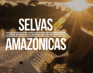 Proceso de acompañamiento de los misioneros dominicos a los pueblos originarios
