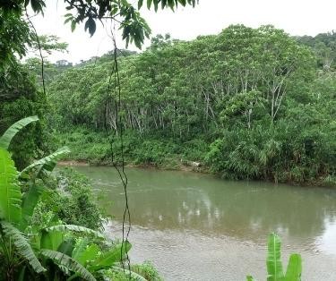 Amazonía Peruana Misioneros Dominicos Selvas Amazónicas Río sepa Perú