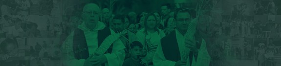 Cabecera Revista n14