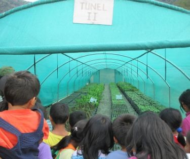 Excursión del campamento de Koribeni (Perú) donde cultivan plantas medicinales