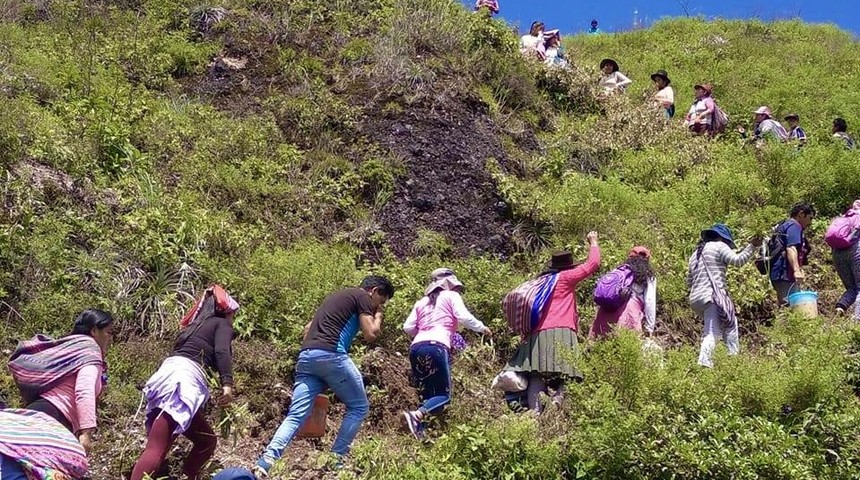 jornada-mundial-de-la-paz-2026-noticia_imagen