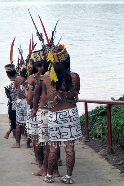 La espera Yine, Perú