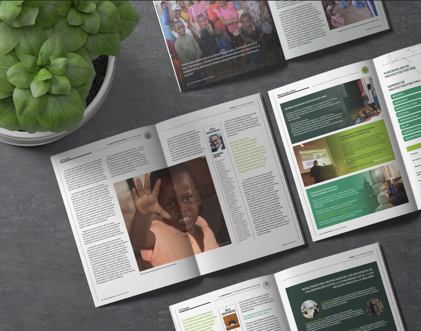 Mockup revista 10 abierta