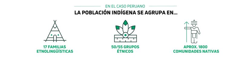 Revista nº1 selvas amazónicas