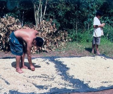 Revista N5 Cuidado casa común Entrevista Leticia Comercio Justo 2