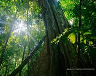 5 de junio Día del Medio Ambiente