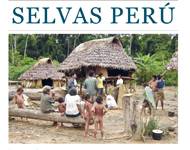 Boletín Selvas Perú