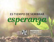 Carta del director de Selvas Amazónicas