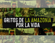 Primera Asamblea Mundial por la Amazonía